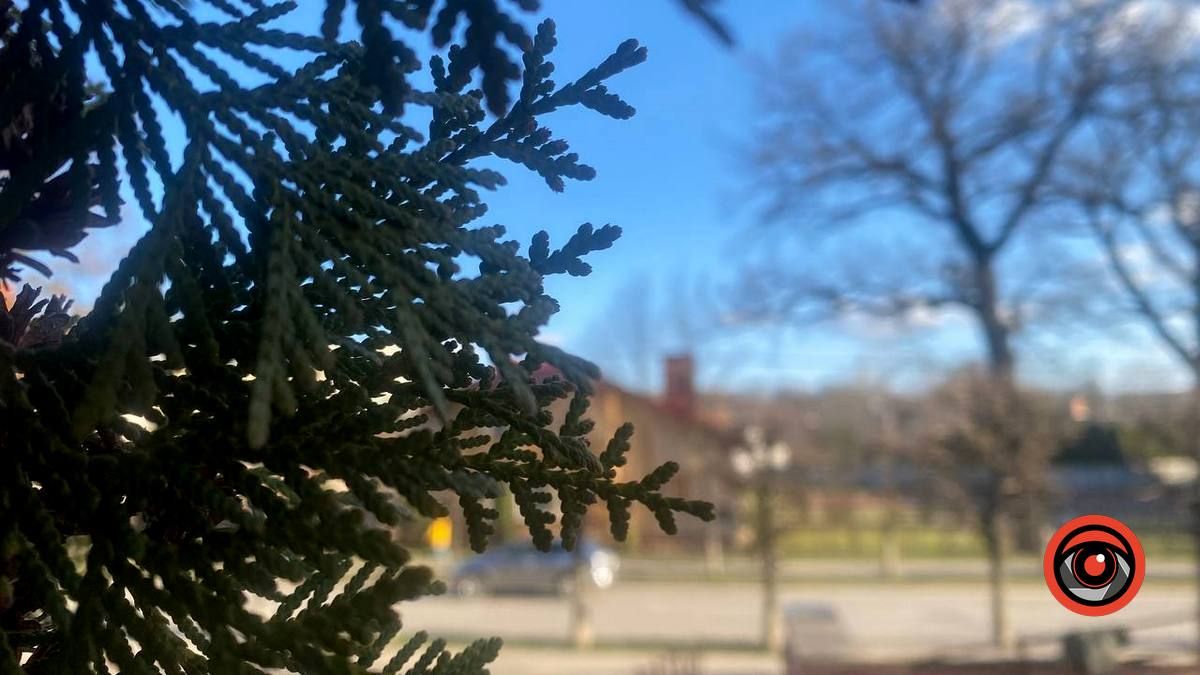 Сонячний день чекає на коломиян 18 березня