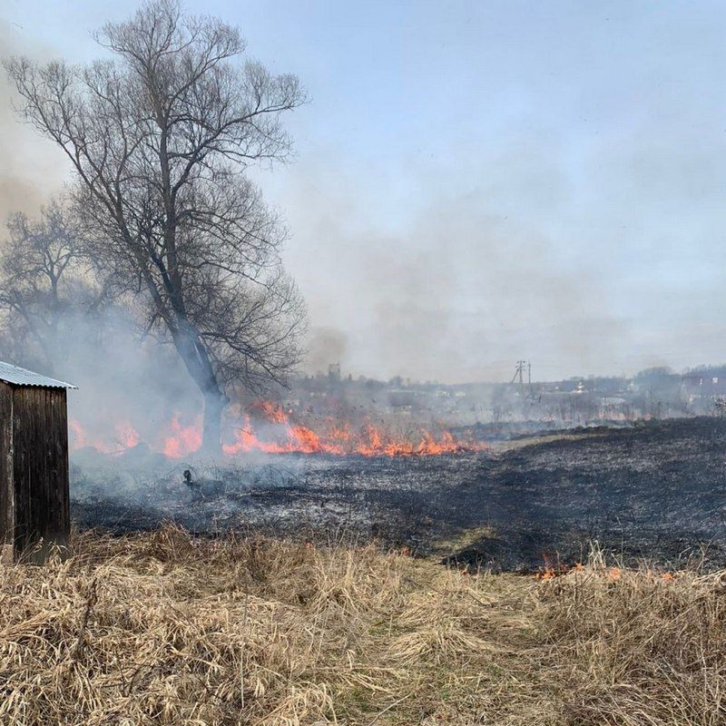 На чималій території під Снятином горить суха трава 1