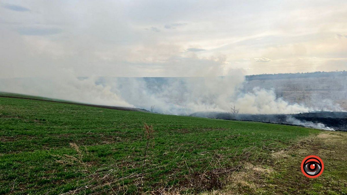 На Городенківщині горіла суха трава 1