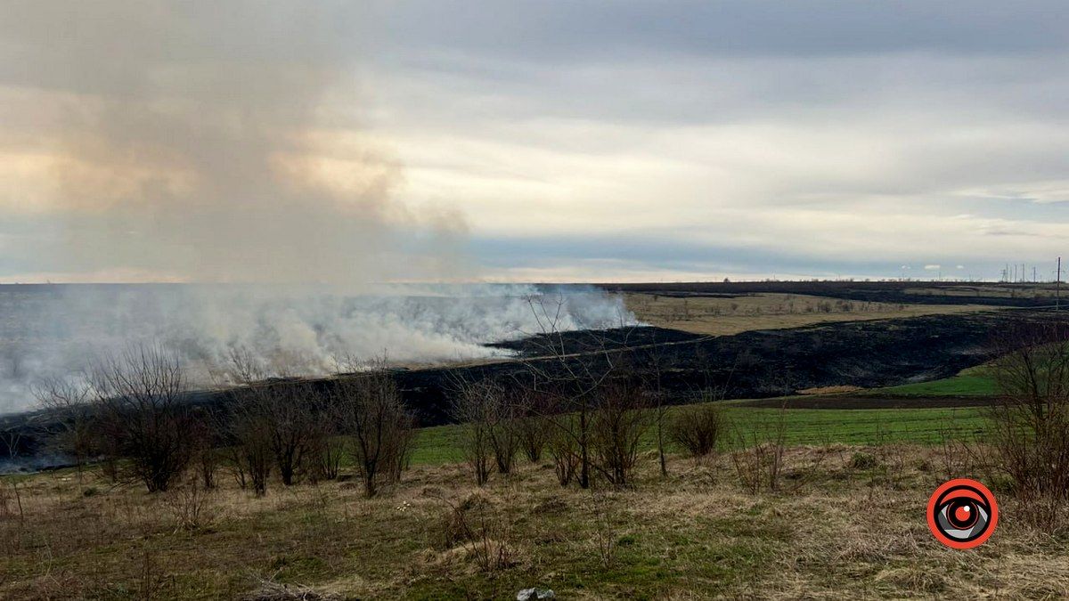 На Городенківщині горіла суха трава