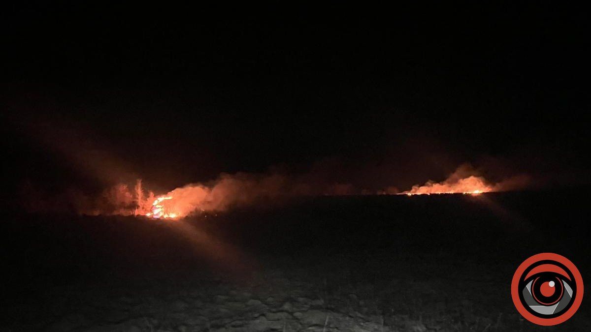 Вночі на Коломийщині гасили пожежу сухої трави 1