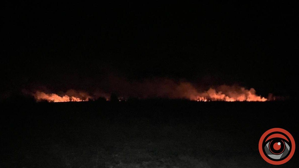 Вночі на Коломийщині гасили пожежу сухої трави 2