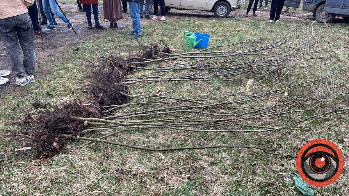 Біля Шевченківського озера висадили алею пам'яті Героїв України 6