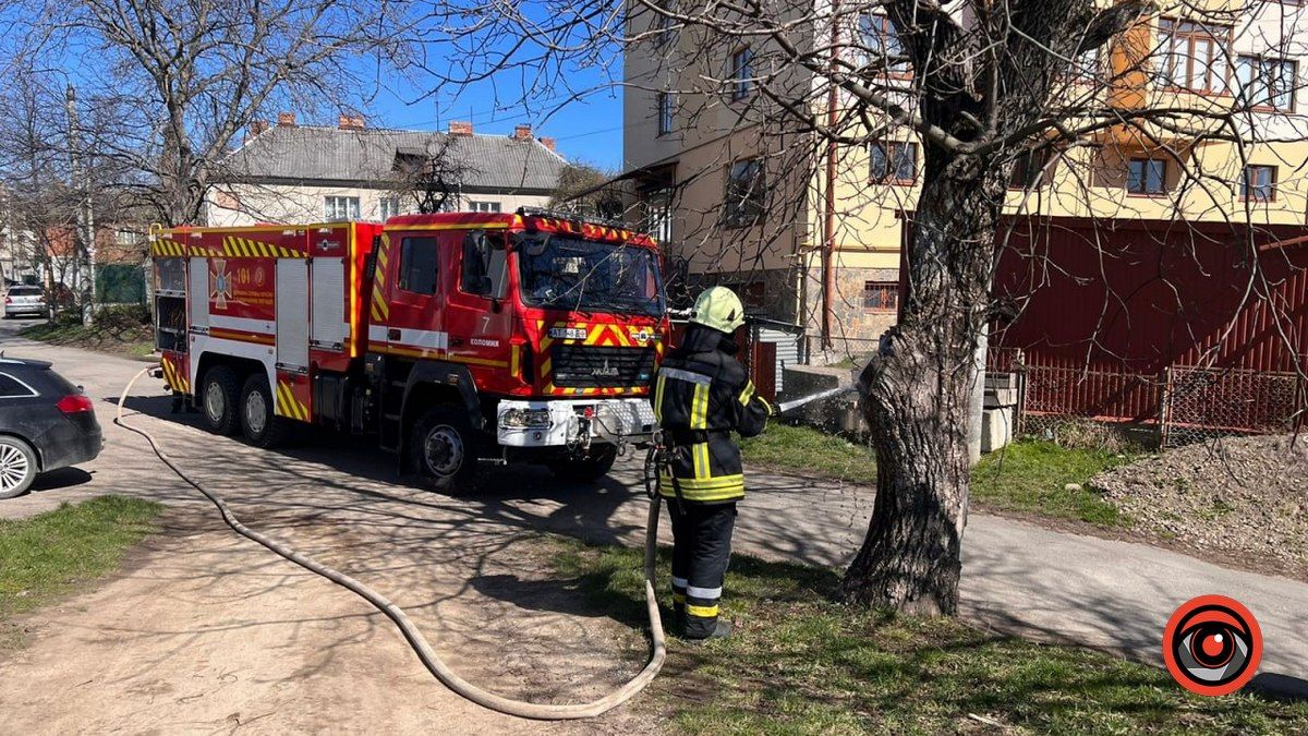 У Коломиї горіло дерево 1