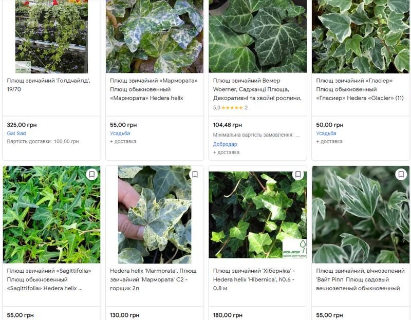 Як виглядає коломийська "клумба" за 146 тис грн 5