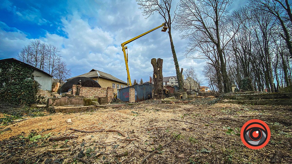 На польському цвинтарі у Коломиї зрізають дерева 1