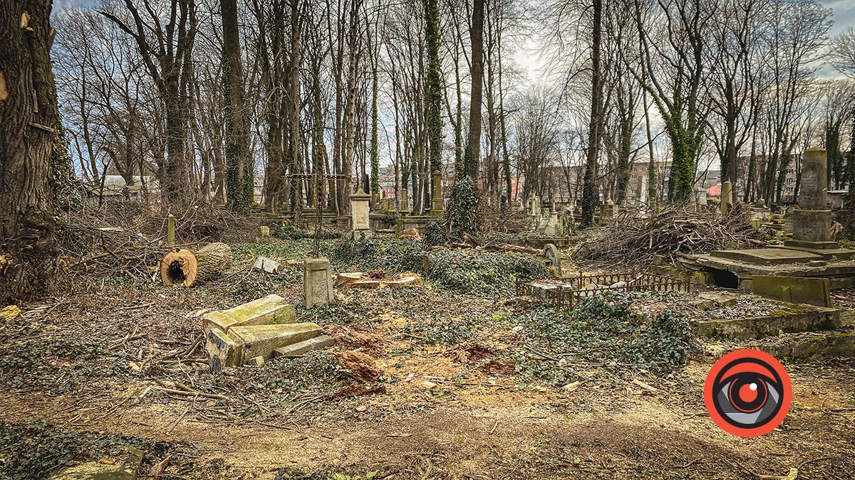 На польському цвинтарі у Коломиї зрізають дерева 4
