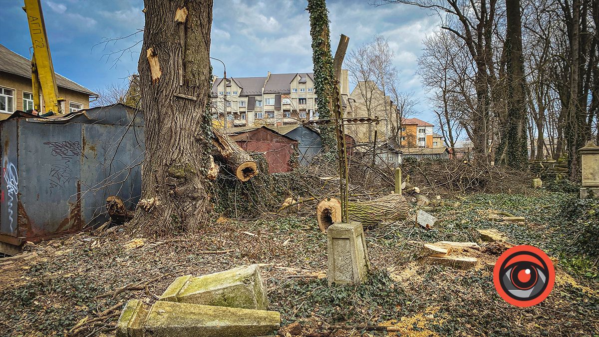 На польському цвинтарі у Коломиї зрізають дерева 5