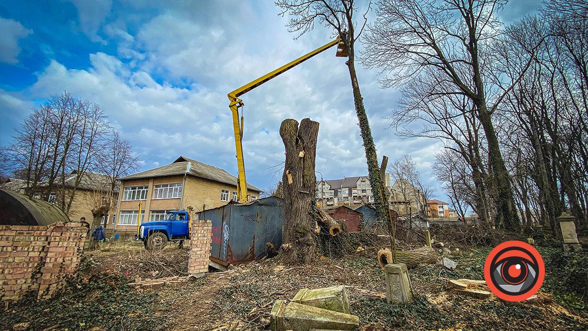 На польському цвинтарі у Коломиї зрізають дерева 6