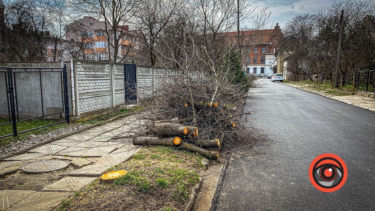 На вулиці Шопена в Коломиї зрізали дерева. Що далі?