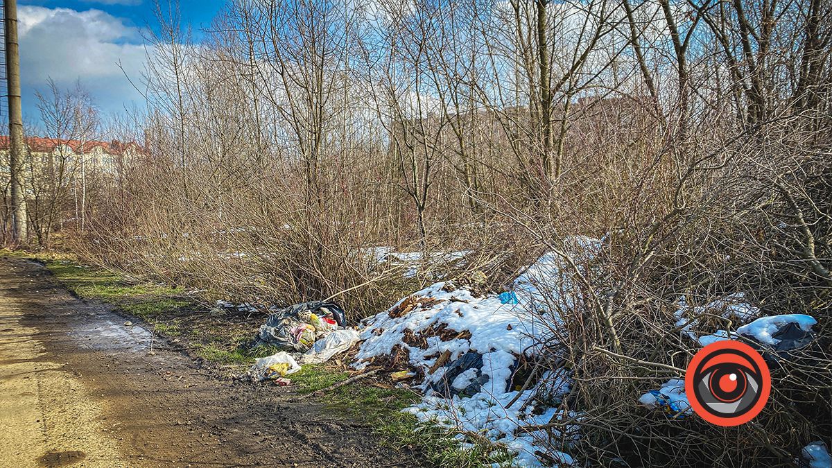 Пляшки, мішки, а ще уламки від телевізора: біля міського озера у Коломиї - купи сміття 6