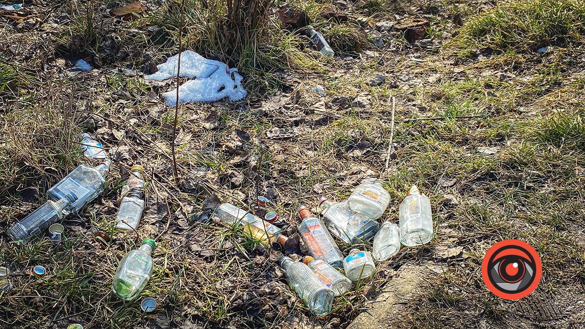 Пляшки, мішки, а ще уламки від телевізора: біля міського озера у Коломиї - купи сміття 2