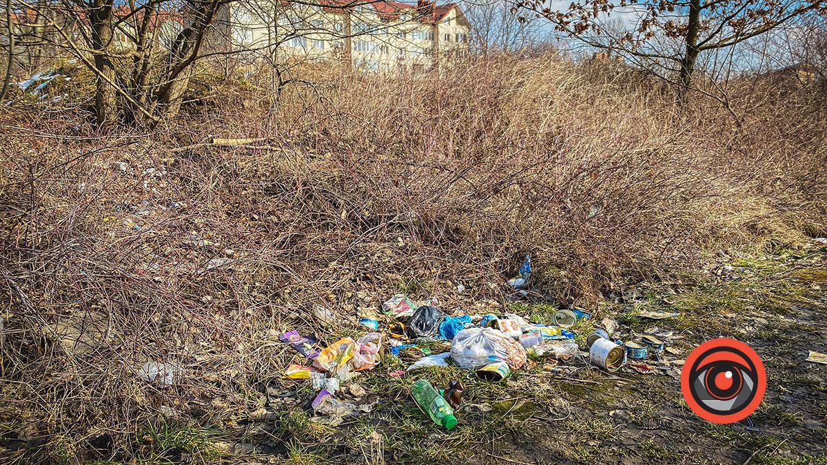 Пляшки, мішки, а ще уламки від телевізора: біля міського озера у Коломиї - купи сміття 3