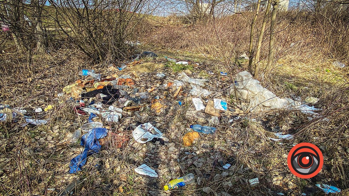 Пляшки, мішки, а ще уламки від телевізора: біля міського озера у Коломиї - купи сміття