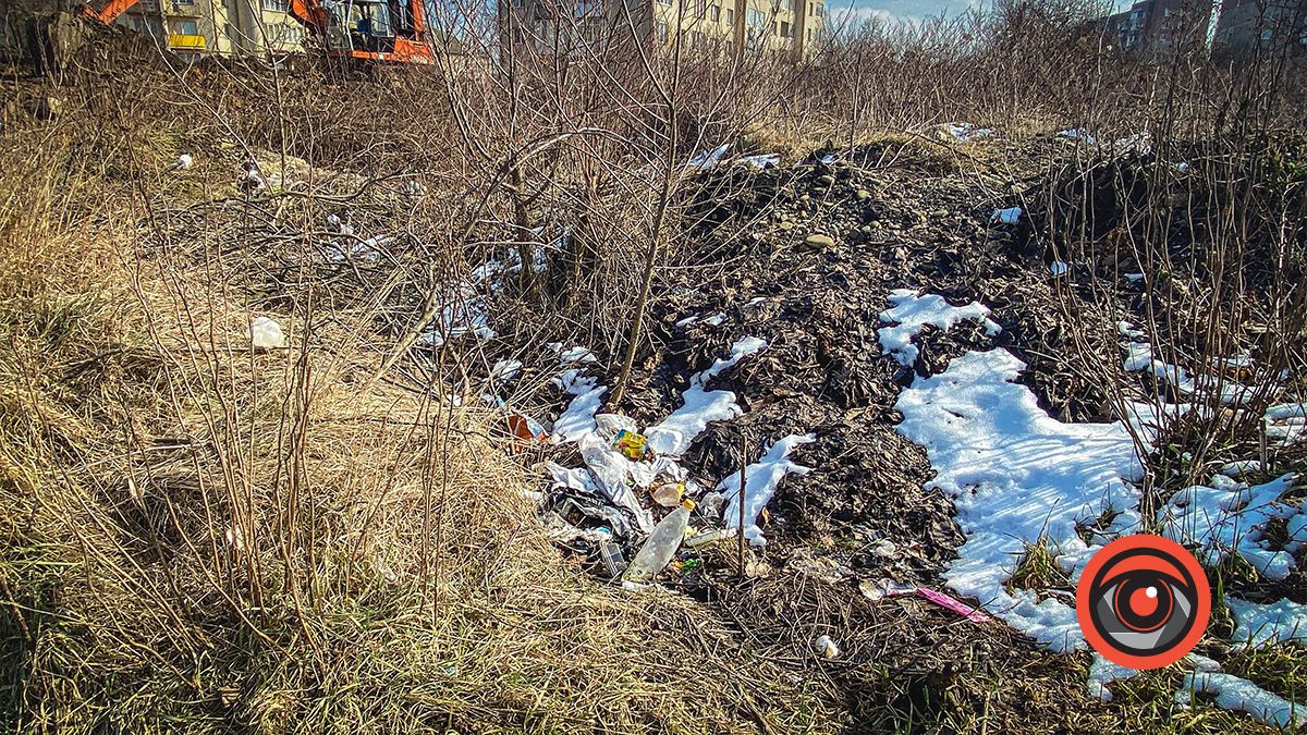 Пляшки, мішки, а ще уламки від телевізора: біля міського озера у Коломиї - купи сміття 5