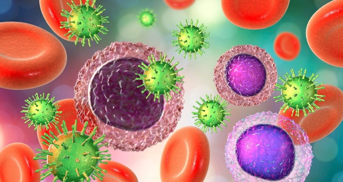 День котів, компліменту, імунітету та інші свята 1 березня 1