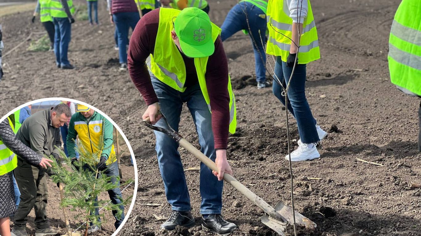 На Коломийщині висадили дерева на лісозахисній смузі