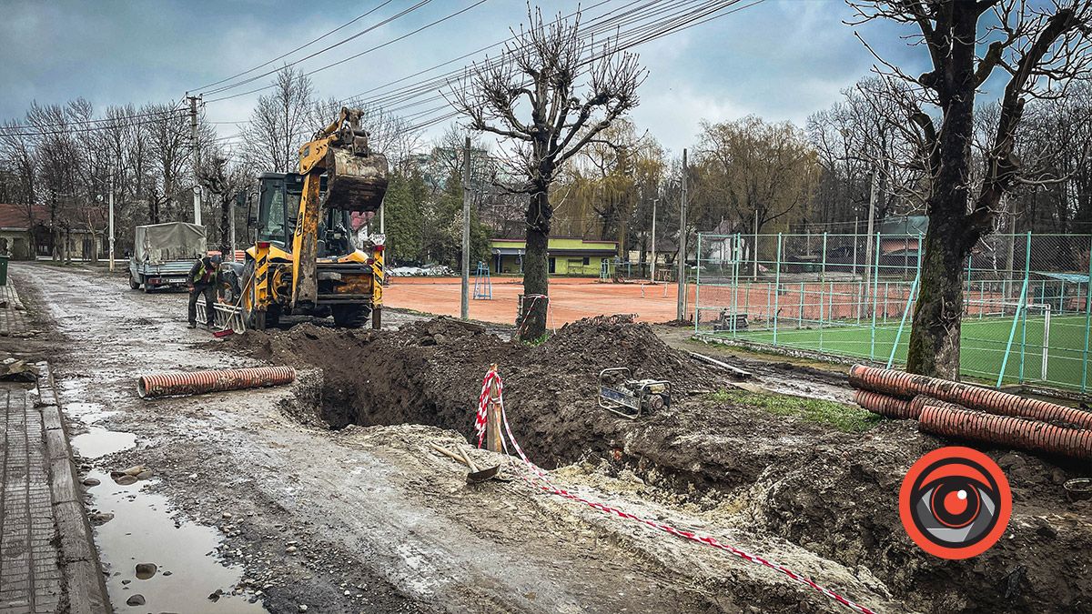 Біля кортів у Коломиї висаджують туї 1