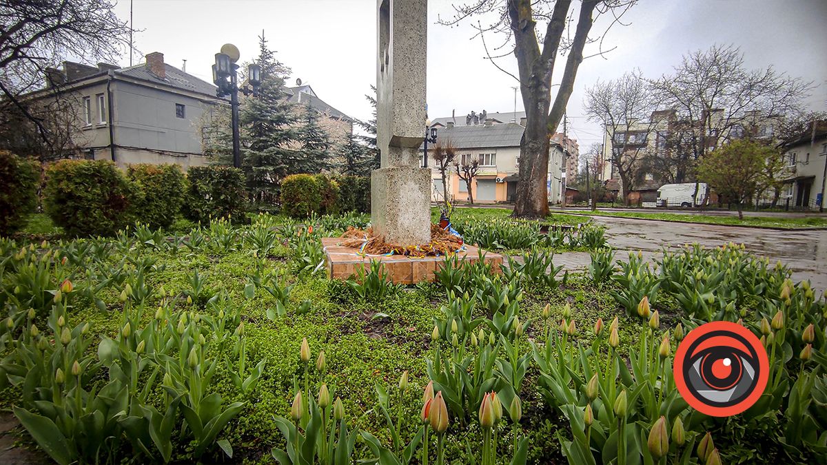 Сухі вінки і калабані: як виглядає скверик біля пам'ятника Степану Бандері в Коломиї 2