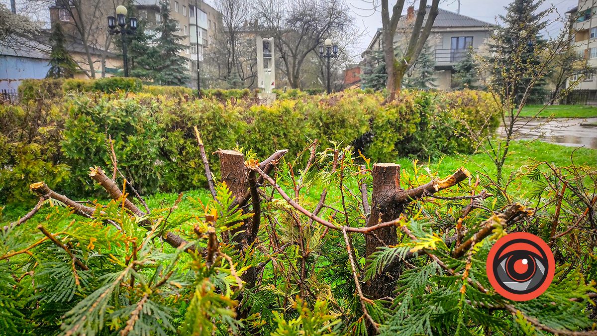 Сухі вінки і калабані: як виглядає скверик біля пам'ятника Степану Бандері в Коломиї 4