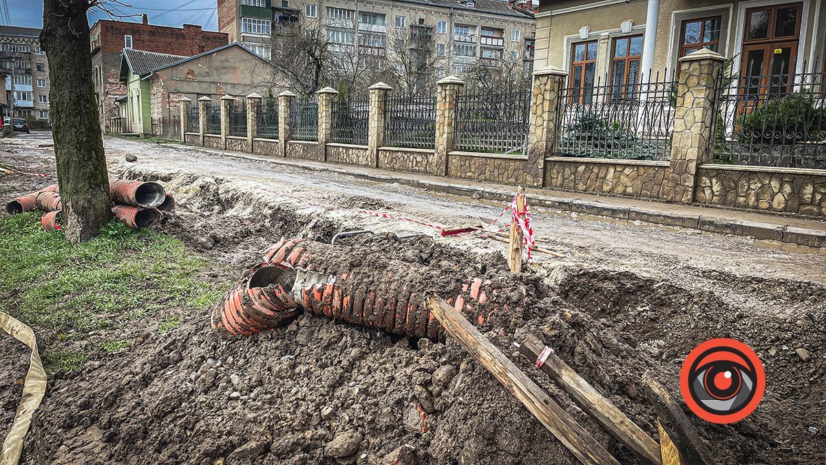 Біля кортів у Коломиї висаджують туї 3