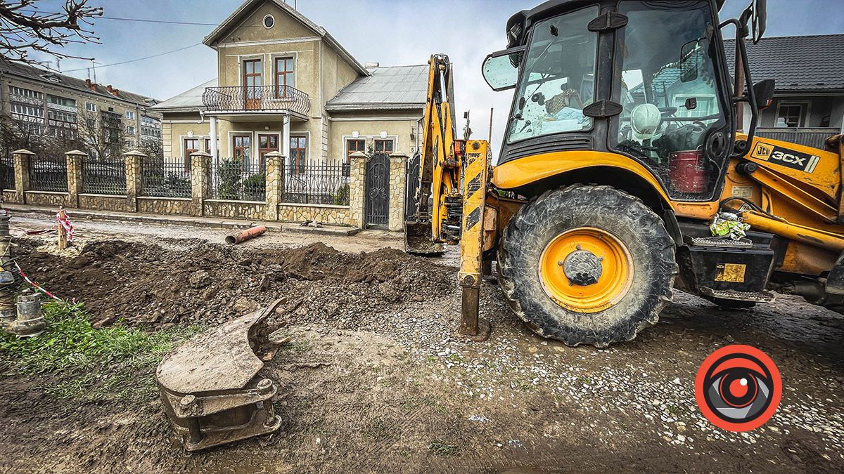 Біля кортів у Коломиї висаджують туї 2