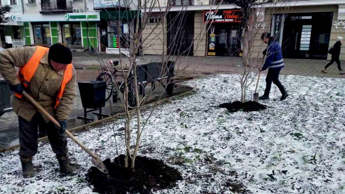 Коломийські комунальники розповіли, що вдалось зробити за минулий тиждень 1