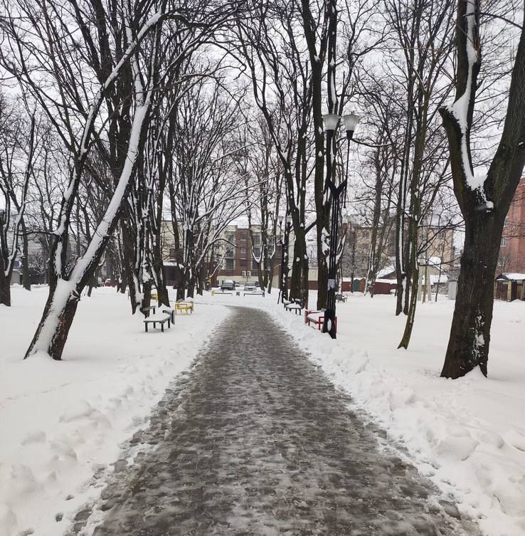 Місто в циклоні Norbert очима коломиян | Добірка фото 6
