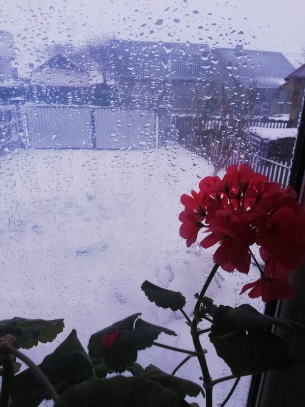 Місто в циклоні Norbert очима коломиян | Добірка фото 7