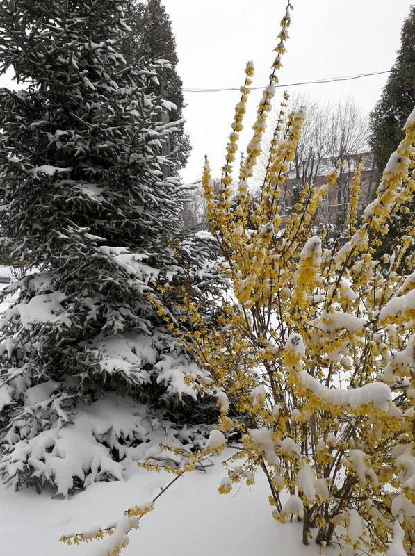 Місто в циклоні Norbert очима коломиян | Добірка фото 8