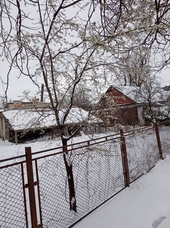 Місто в циклоні Norbert очима коломиян | Добірка фото 9