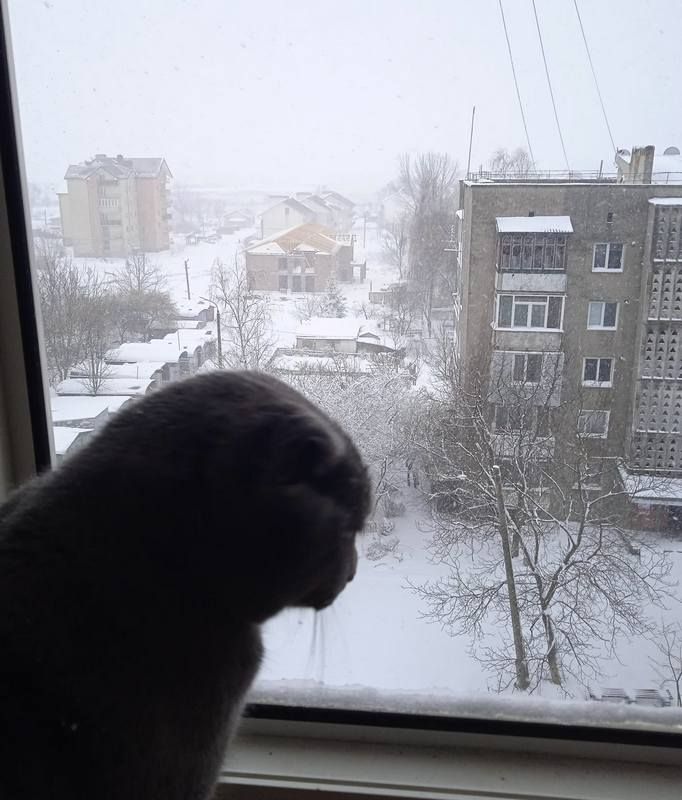 Місто в циклоні Norbert очима коломиян | Добірка фото 12