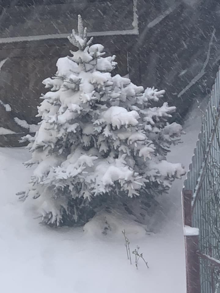 Місто в циклоні Norbert очима коломиян | Добірка фото 16