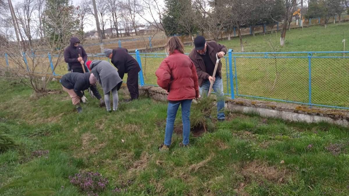 Мешканці П'ядицької ТГ висадили майже 900 ялинок 2