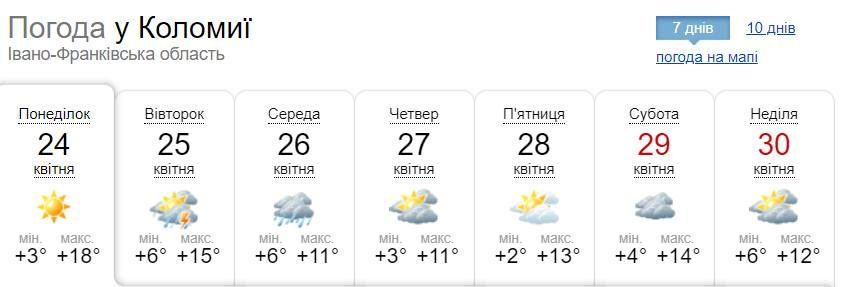 Для любителів грядок: яку погоду прогнозують синоптики впродовж тижня? 2
