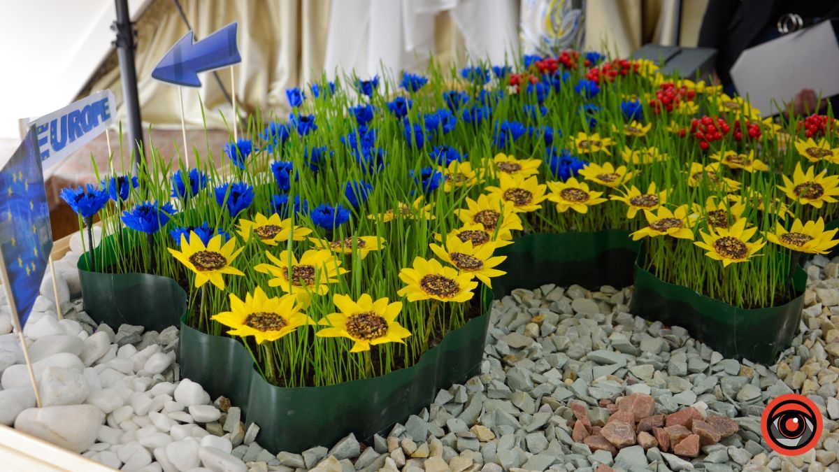 Більше 800 тисяч гривень зібрали для "Едельвейсів" на благодійному аукціоні у Косові 21