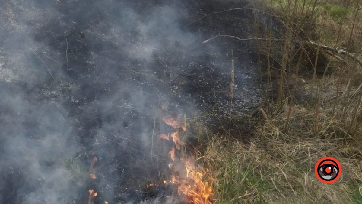 Суха трава 2.0. Коломийські пожежники знову вирушили на гасіння вогню