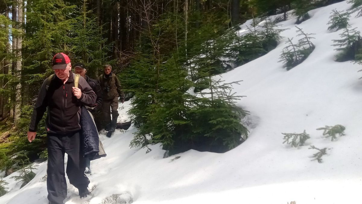 На Прикарпатті фотопастки "вполювали" чимало диких тварин 4