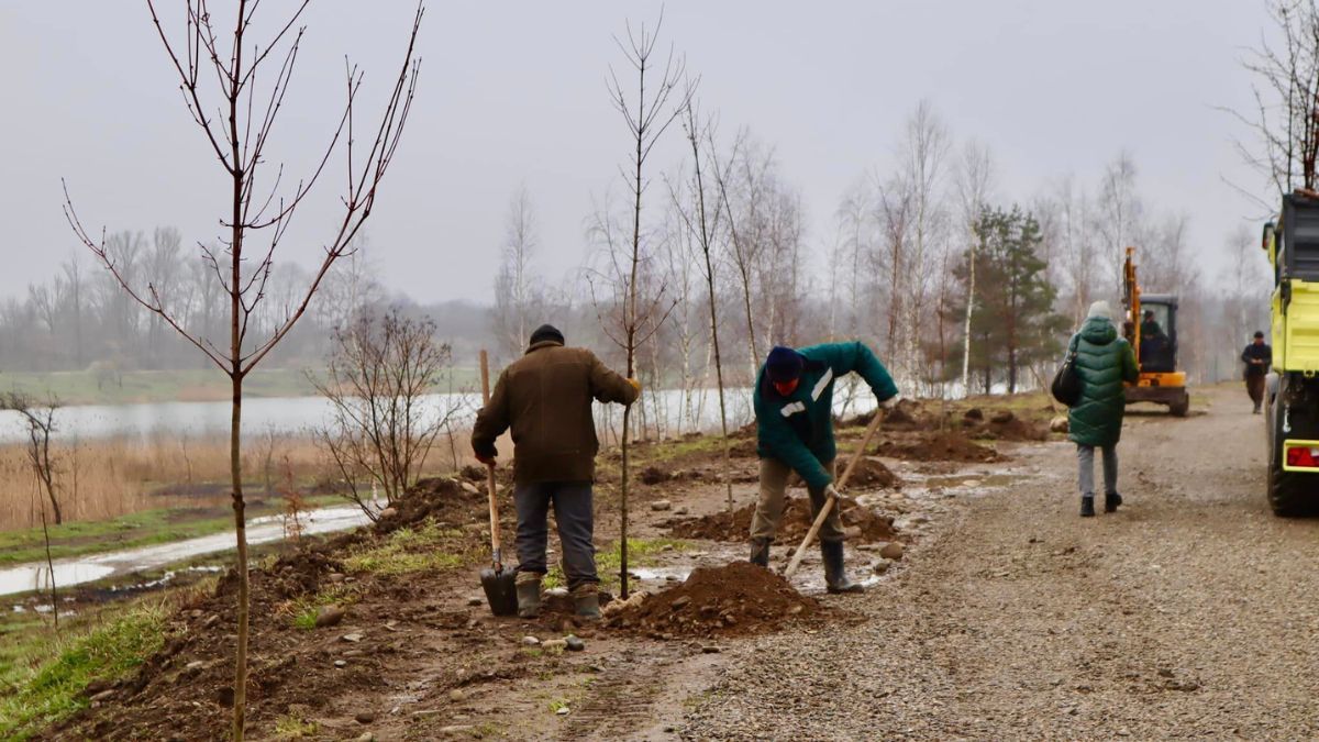 Біля Пруту в Коломиї висадили 125 дерев 1