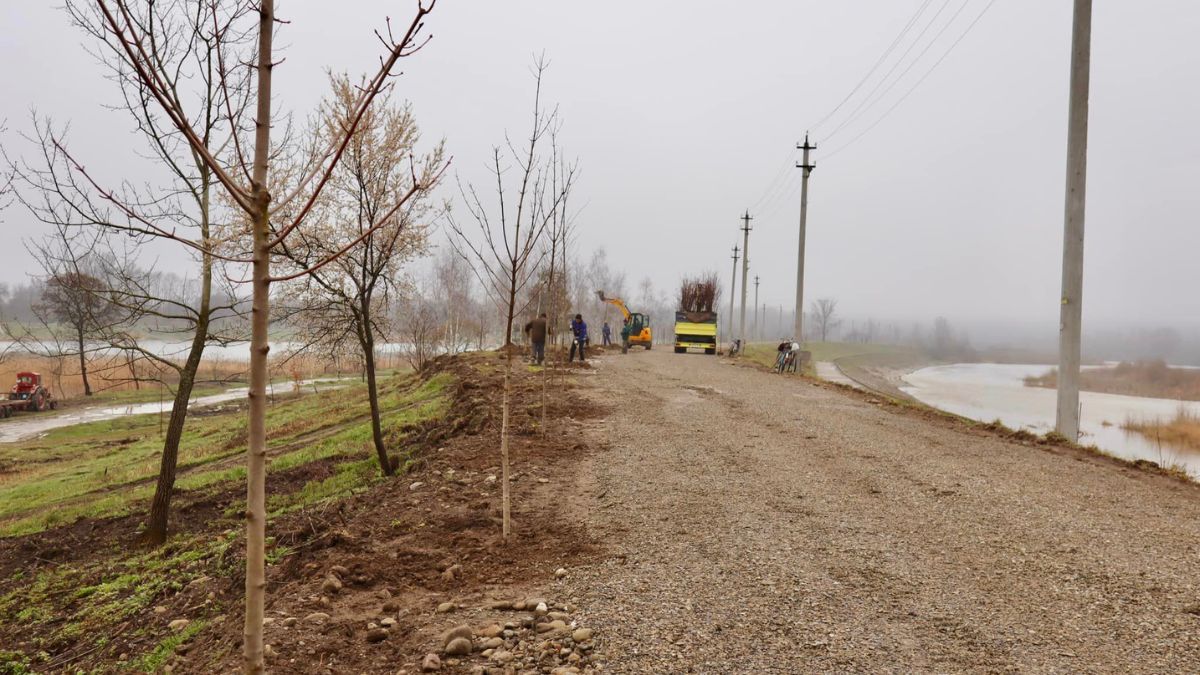 Біля Пруту в Коломиї висадили 125 дерев 3