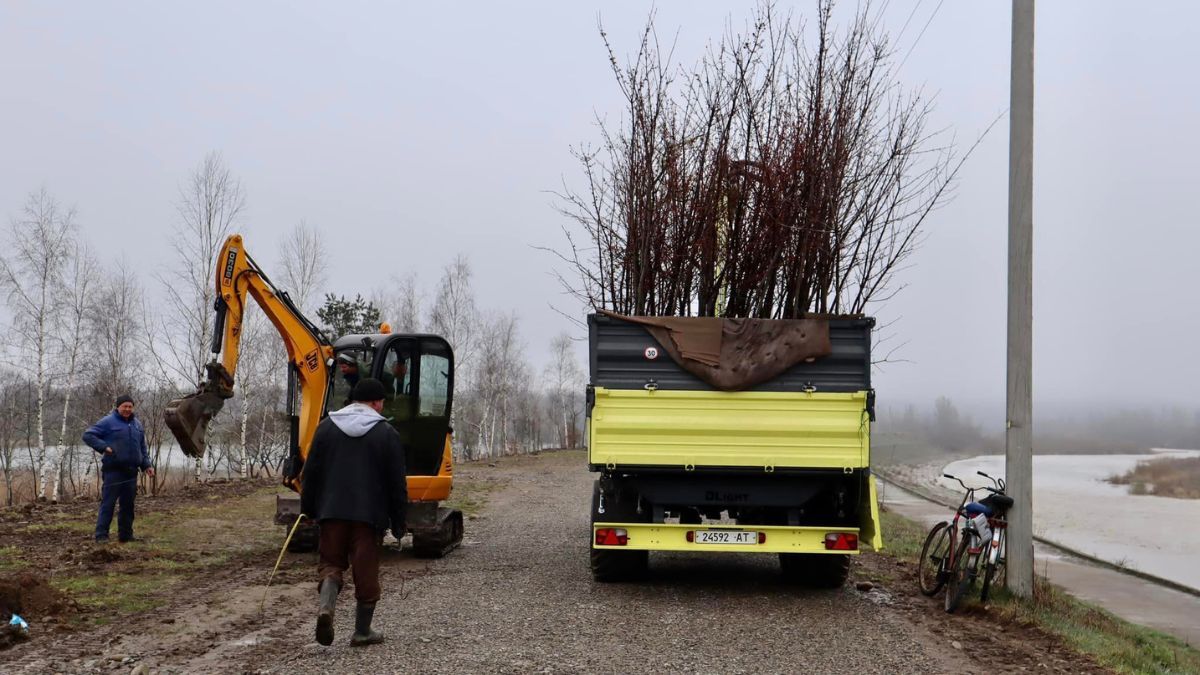 Біля Пруту в Коломиї висадили 125 дерев 4