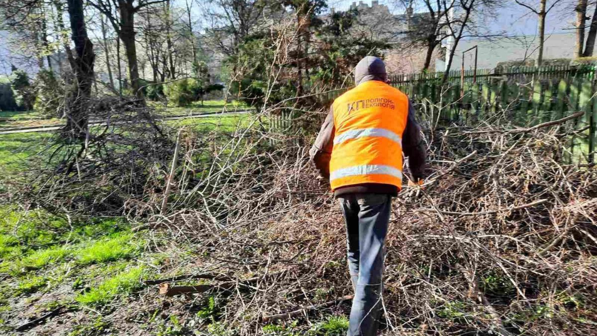 Як пройшла весняна толока у Коломиї 1
