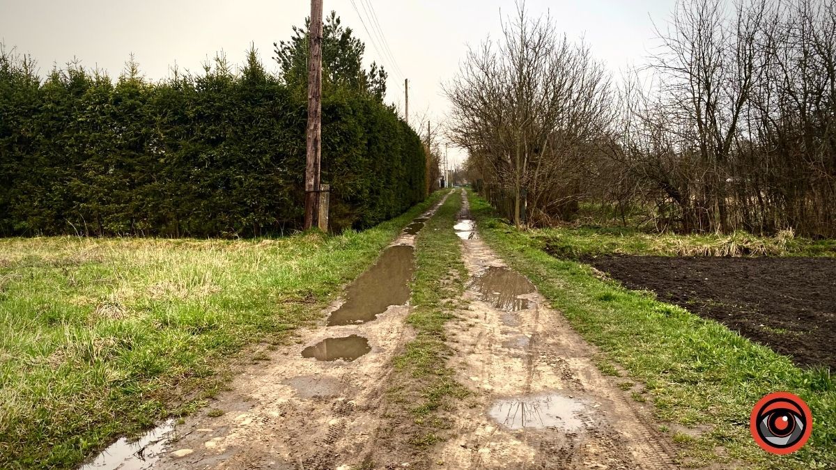 У П'ядиках напрямок до джерела є, а дороги нема 10