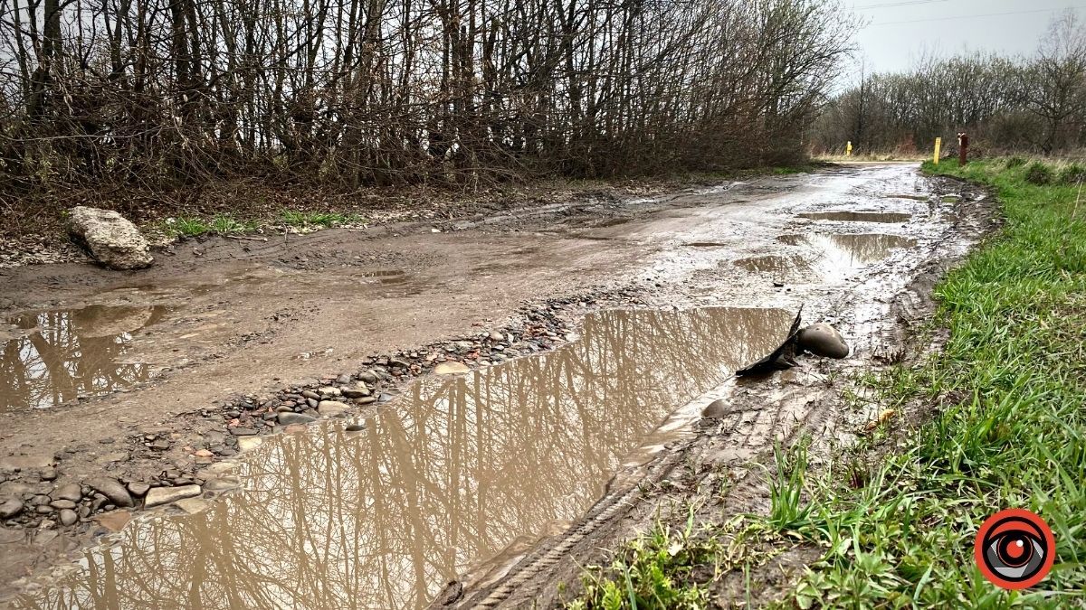 У П'ядиках напрямок до джерела є, а дороги нема 6