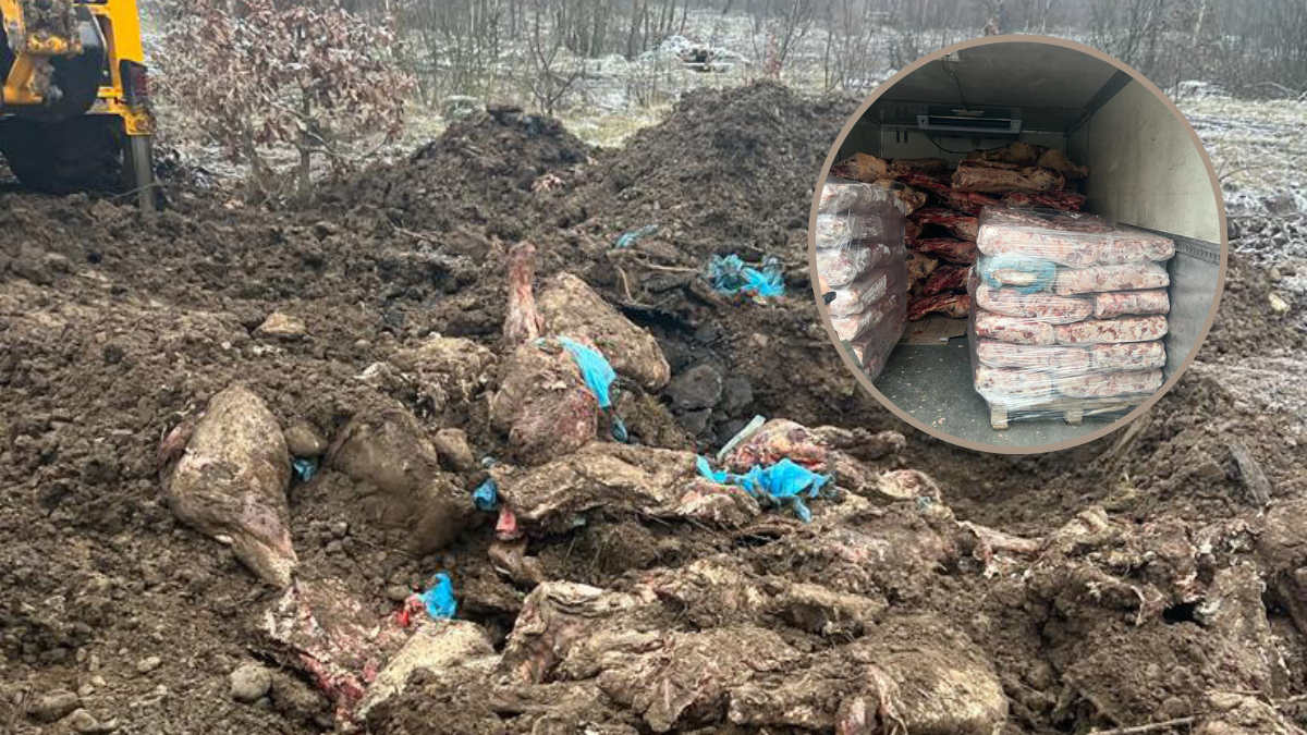 До суду передали справу начальниці сховища, де зіпсувалося 8,5 тонн м’яса для військових