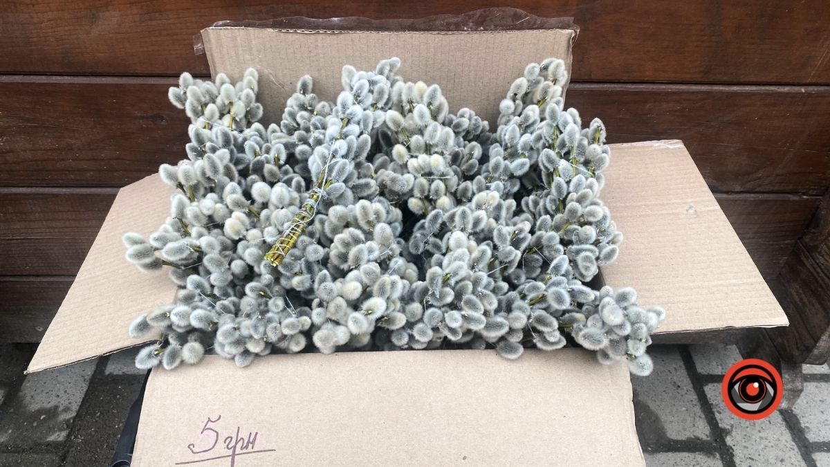 Яка вартість гілочок верби у Коломиї 1 квітня? 2