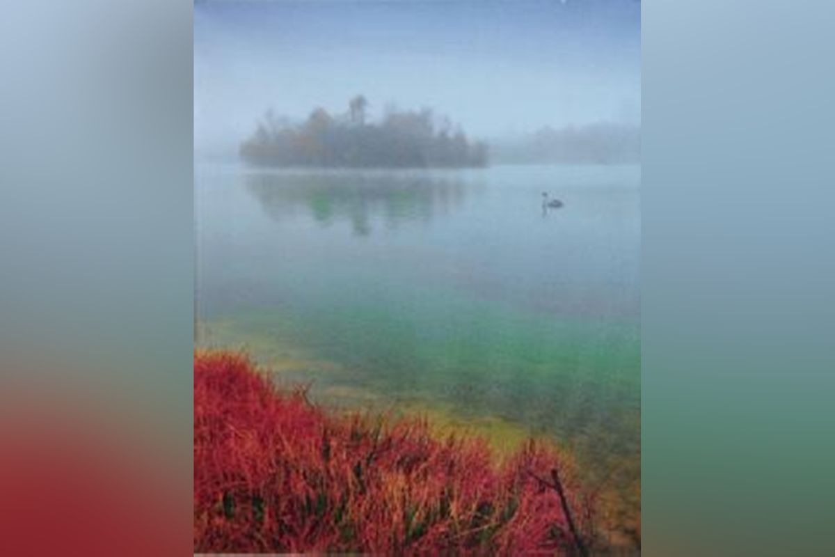 У РВА презентували лоти, які будуть на благодійному аукціоні 23