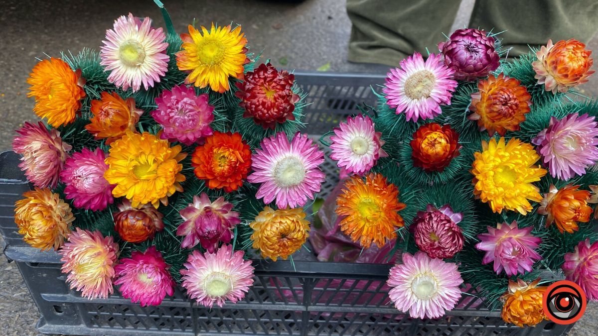 Хочете вшанувати померлих - оберіть живі квіти! | Розмова зі священником 3