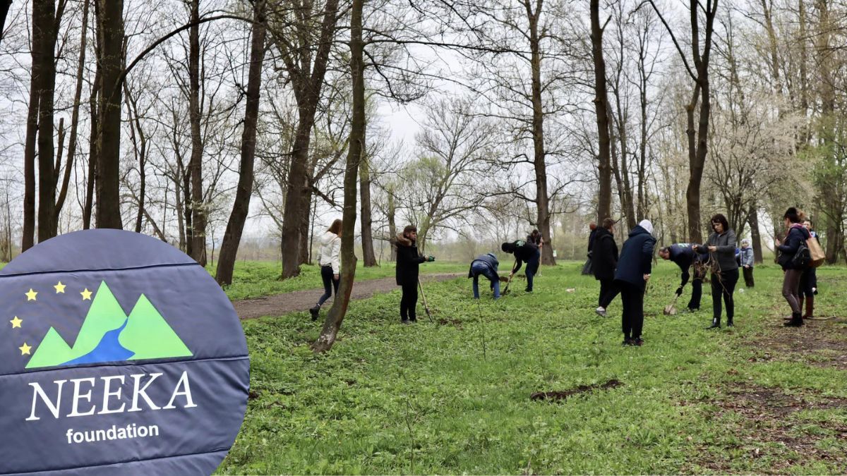У парку Тараса Шевченка висадили 25 дубів