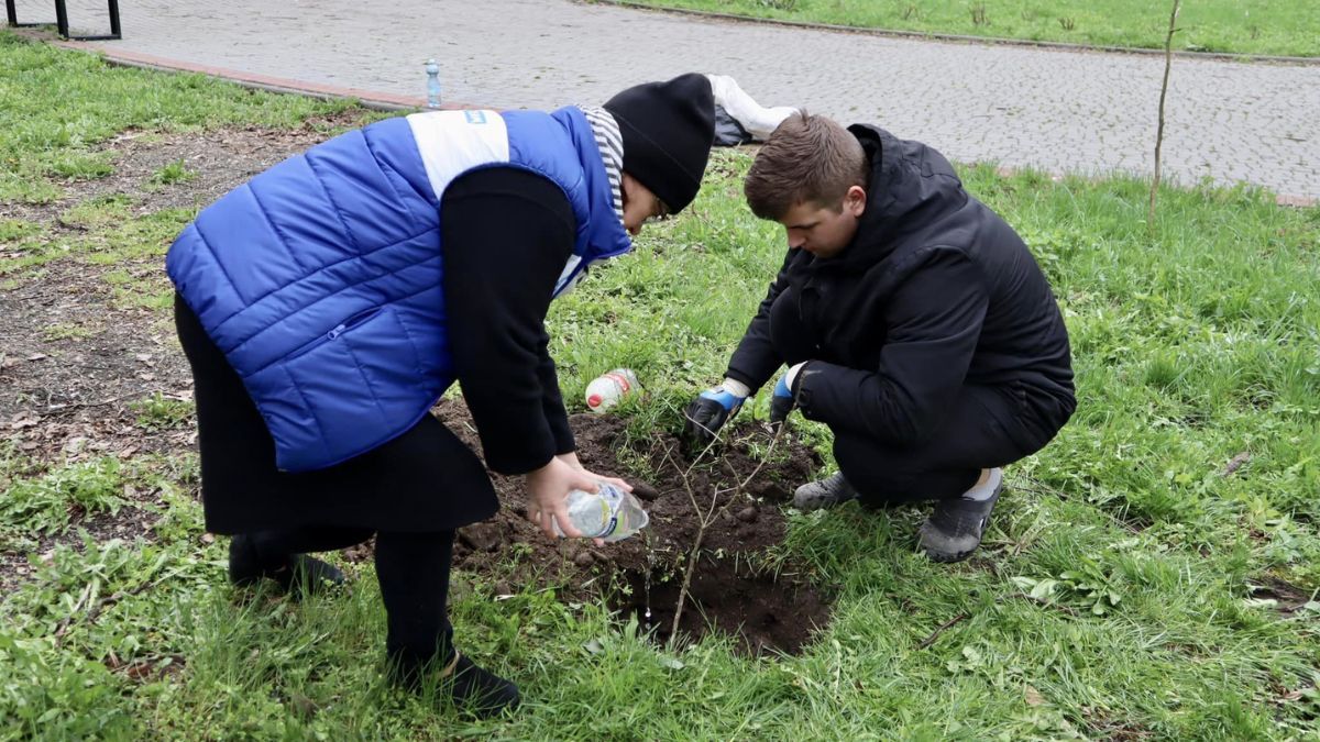 У парку Тараса Шевченка висадили 25 дубів 1